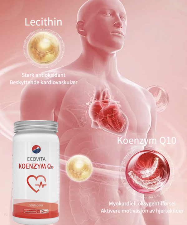 Ecovita Coenzyme Q10 - Image 3